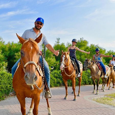 Barricata Holiday Village Scardovari Esterno foto Horse riding in the Everglades